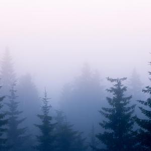 谢文无人休艺术
